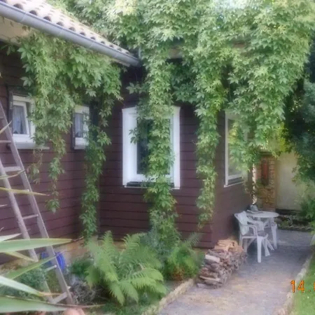 Vermiete Sehr Schoenes Apartment In Dankerode Im Harz Exterior photo